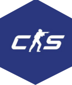 CS2 game icon